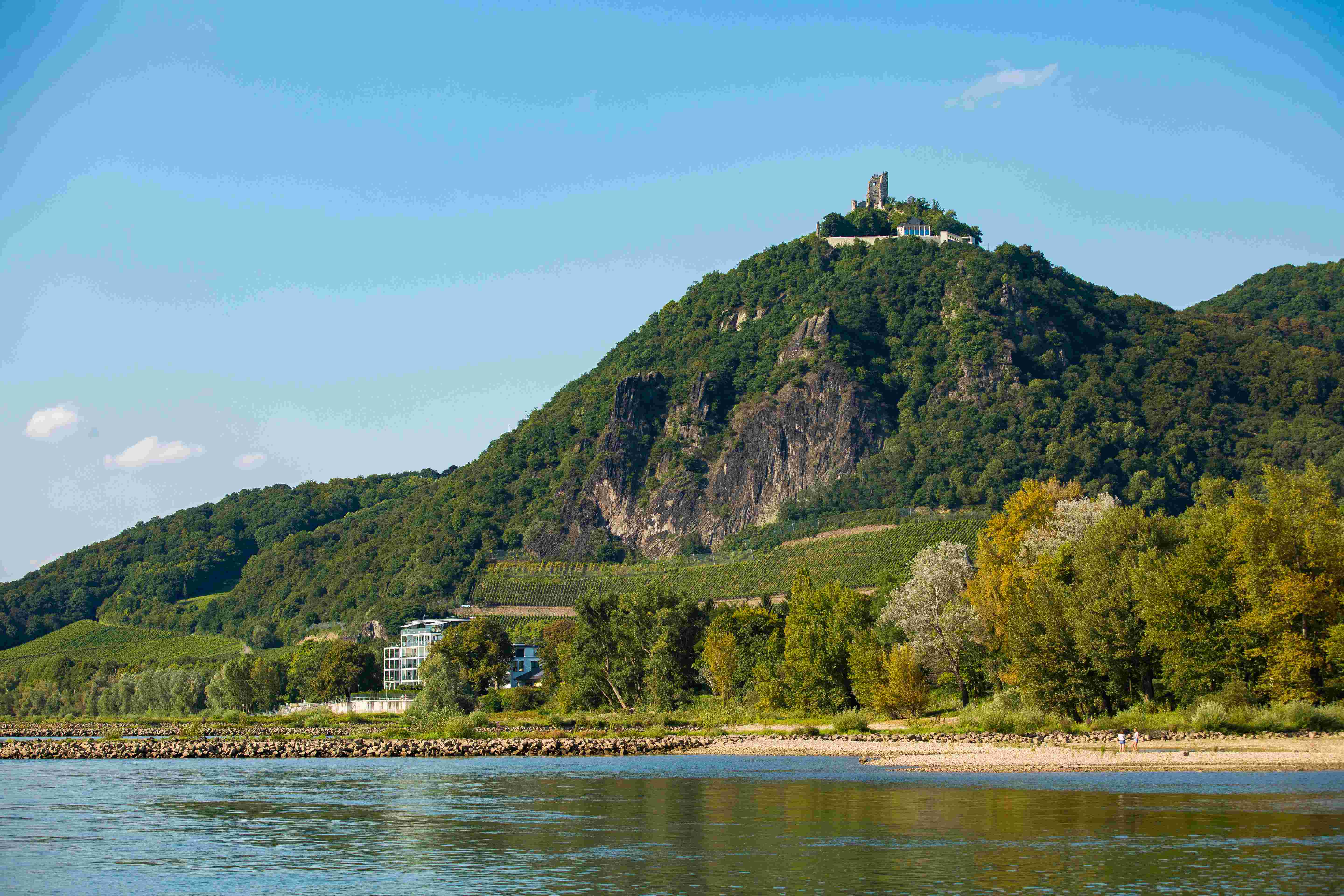 Bonn. Rhein. Drachenfels. Romantischer Rhein. Henry Tornow.