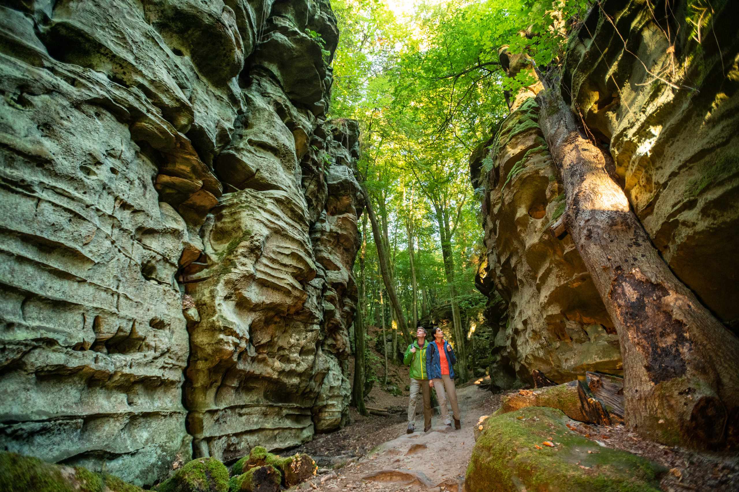 Nationaplark Eifel. Wandern in der Eifel. Teufelsschlucht. Eifel Tourismus. Dominik Kretz.